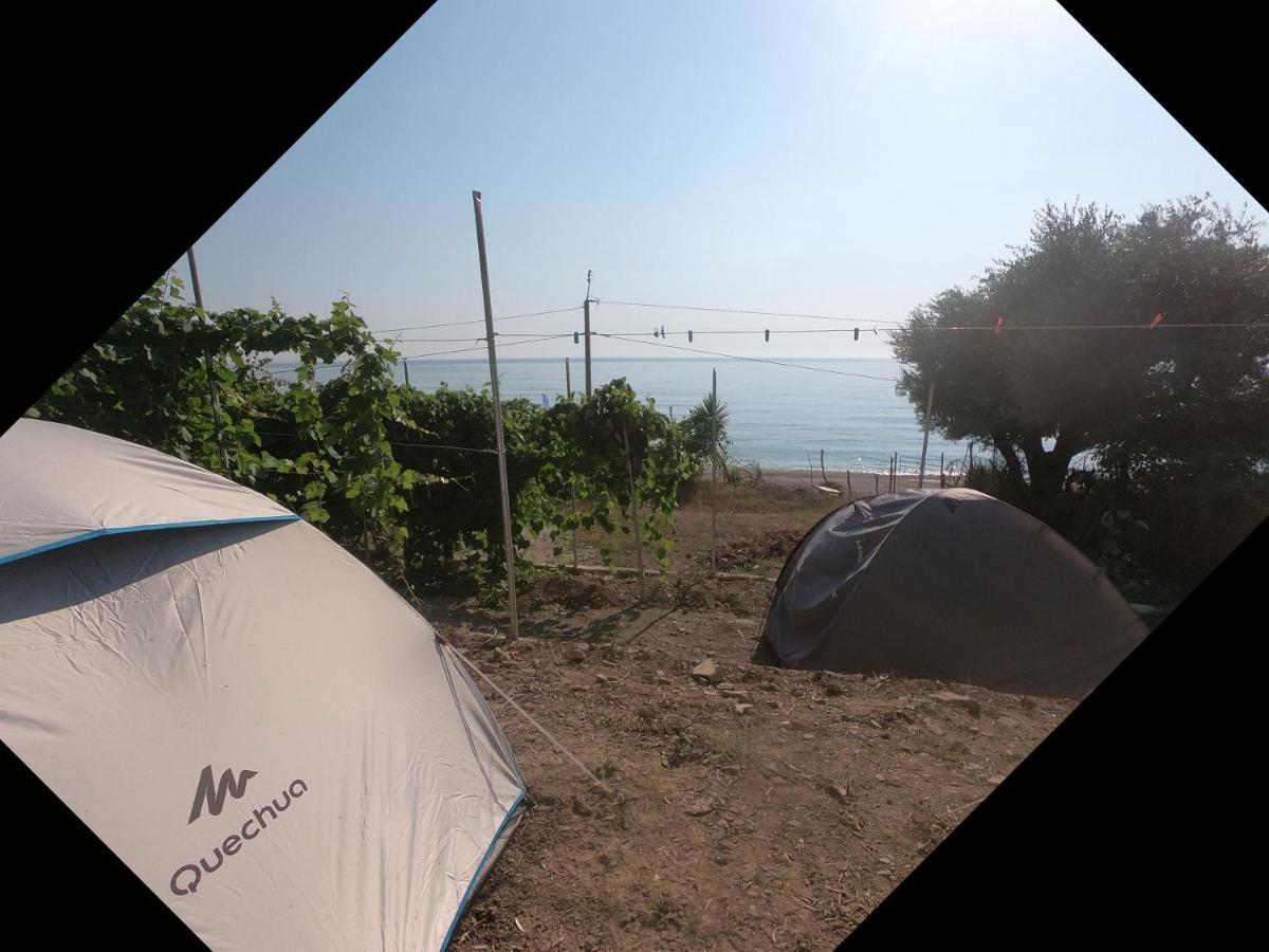 Luxury tent Jungle In Borsh