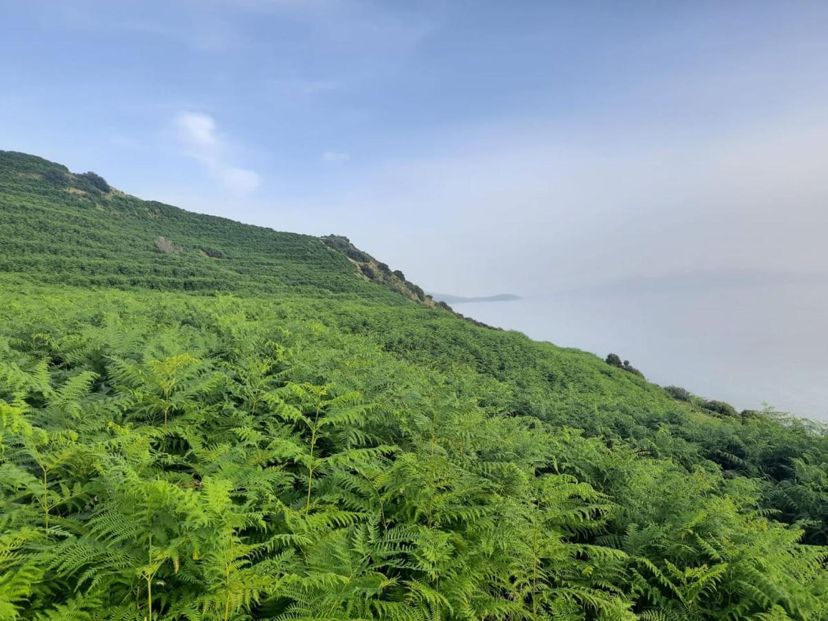 Luxury tent Jungle In *