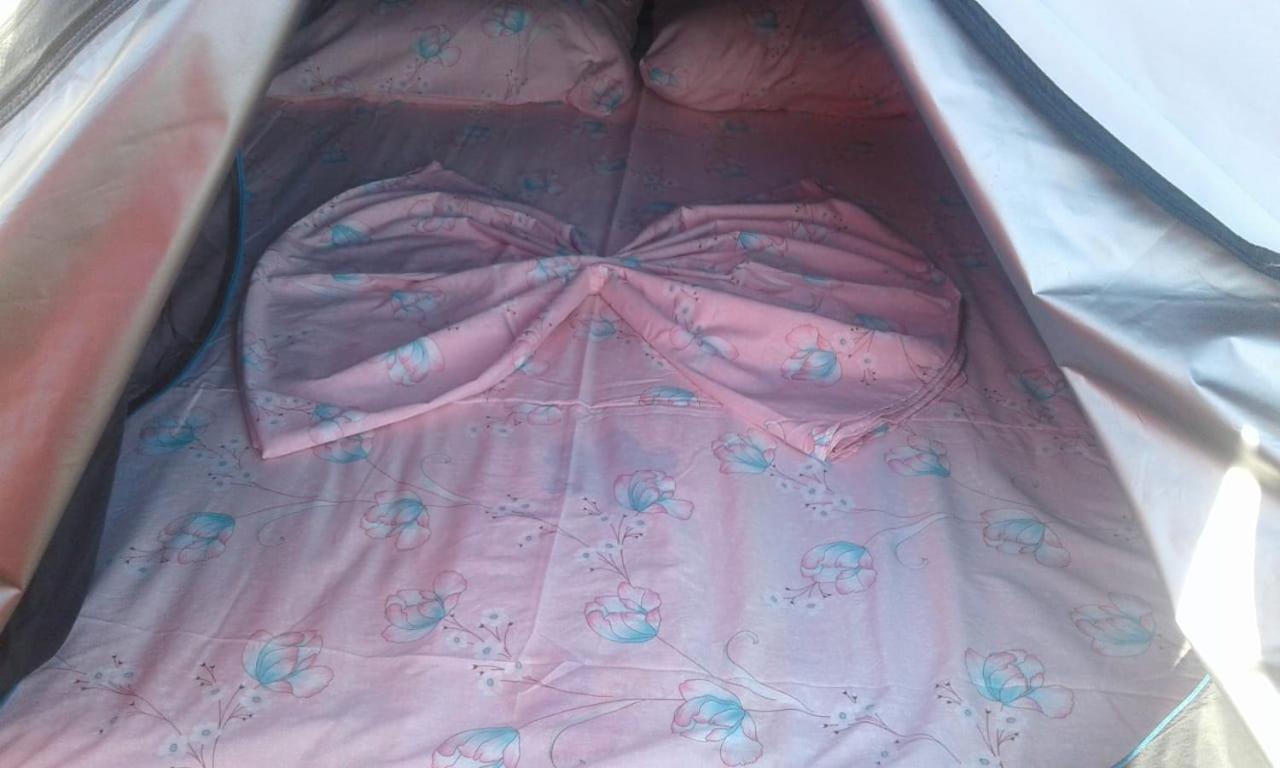 Luxury tent Jungle In