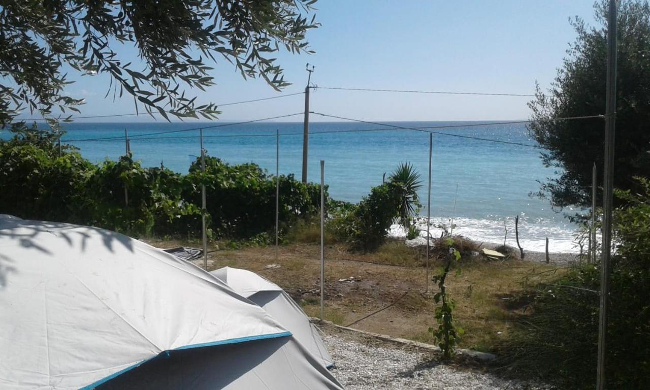Jungle In Luxury tent
