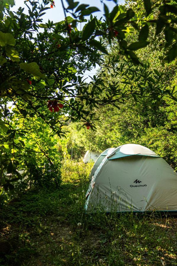 Jungle In Luxury tent