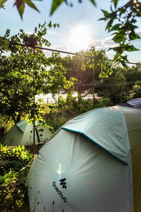 Luxury tent Jungle In