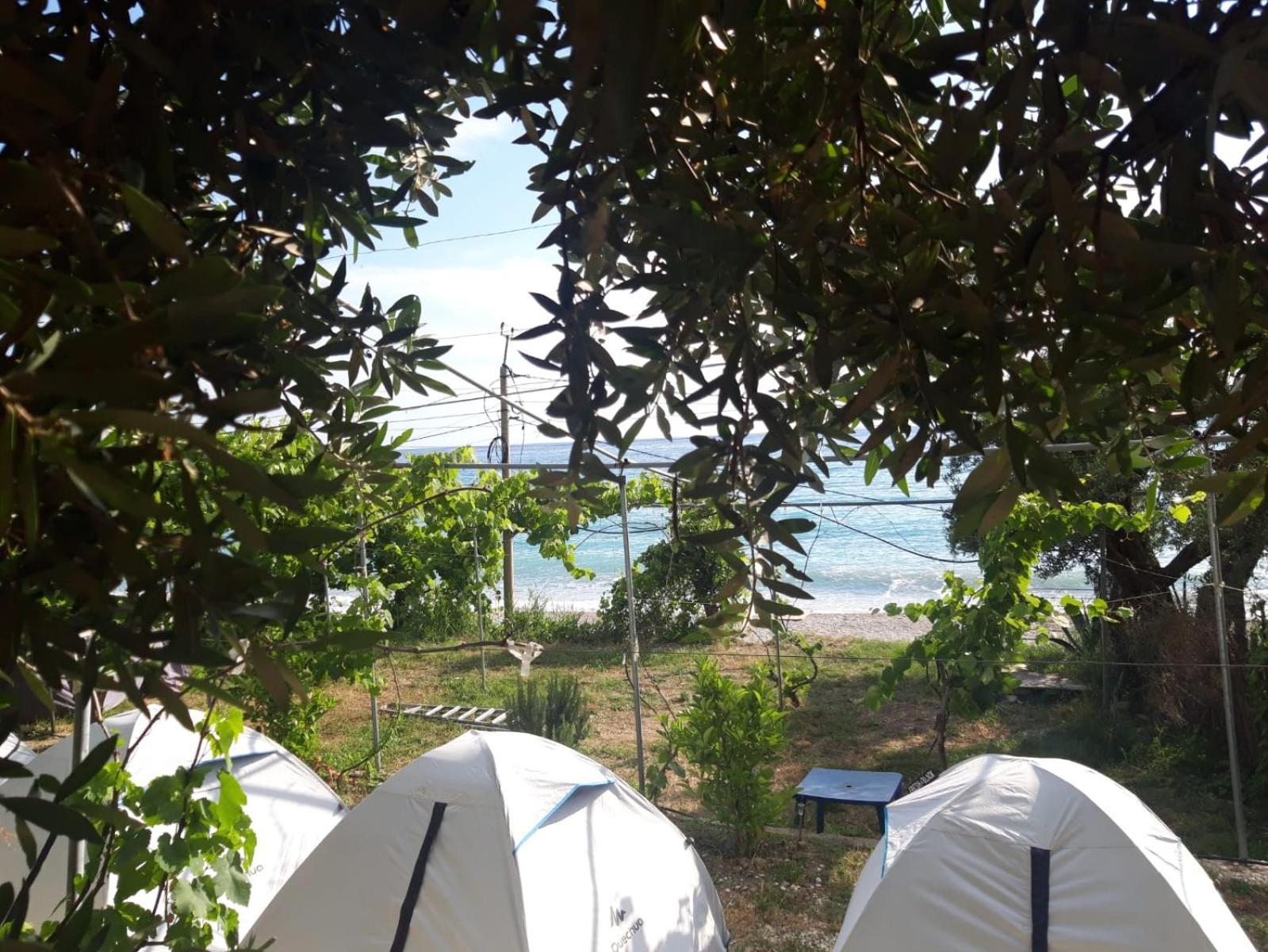 Luxury tent Jungle In Borsh